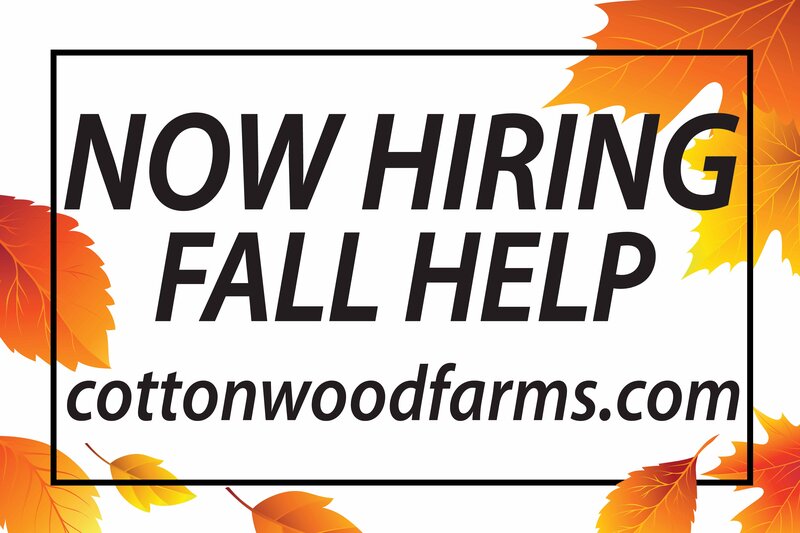 Now hiring fall help