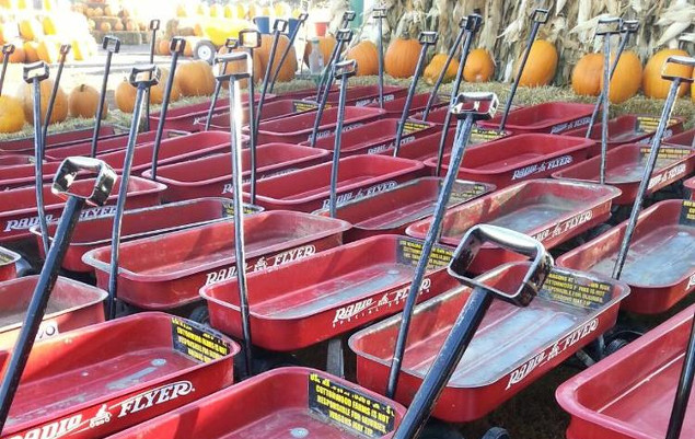 red wagons for hauling pumpkins at cottonwood farms