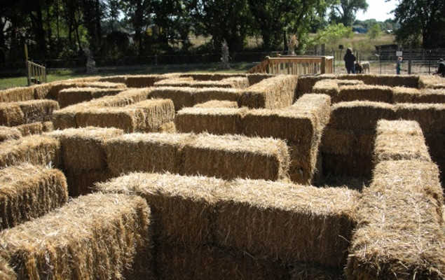 straw bale maze