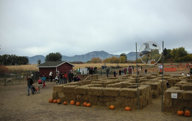 Halloween Pumpkin Patch Fall Festival in Boulder, CO | CottonwoodFarms.com